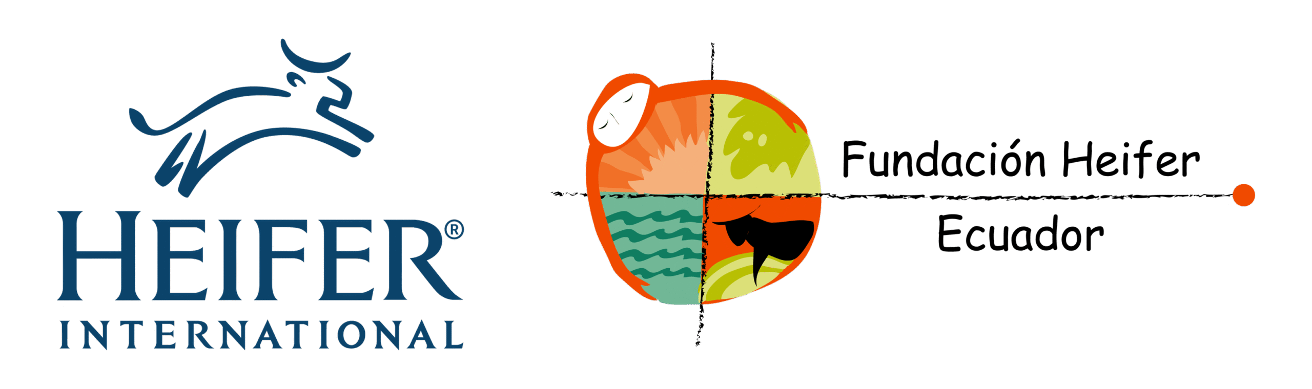 Heifer Ecuador