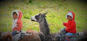 The Ecuador Project – Heifer International & Elanco