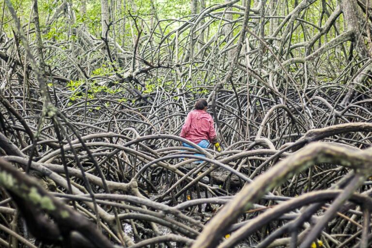 Que se centralicen las directrices para cuidar áreas marino-costeras es el temor ante cierre de subsecretaría