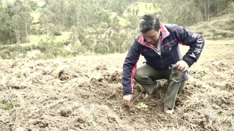 Plantemos un árbol, plantemos una esperanza