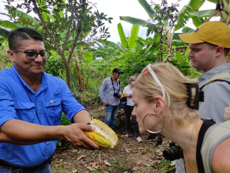 UNOCACE asegura la compra de cacao a productores