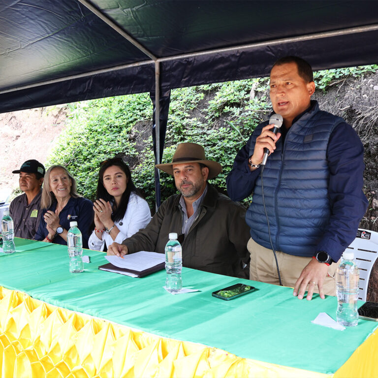 El Proyecto Café Arbolado iniciaron la «Sembratón 2025»