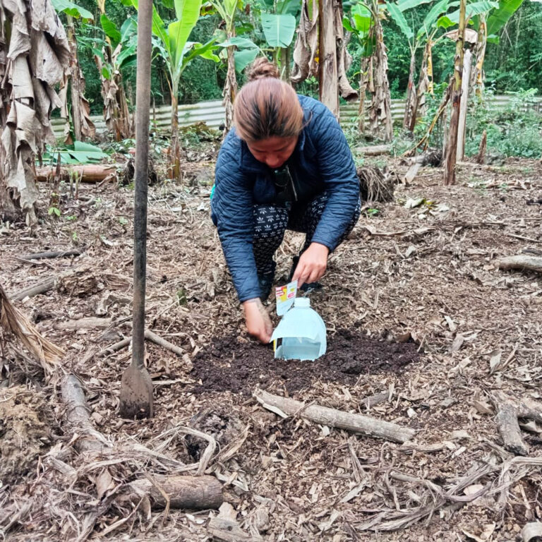 Isabela frente a las plagas, el conocimiento compartido como herramienta de conservación