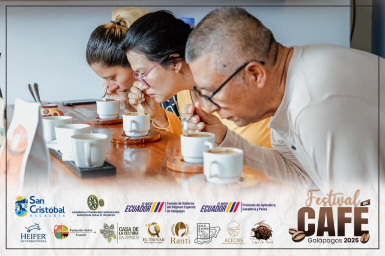 Del bosque andino al suelo volcánico: geisha lojano triunfa y Galápagos avanza con su café de origen