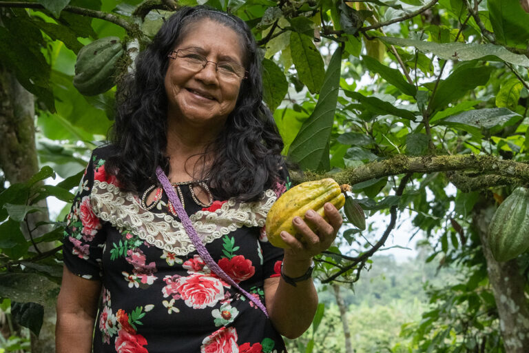 Sostenibilidad Cacao & Café