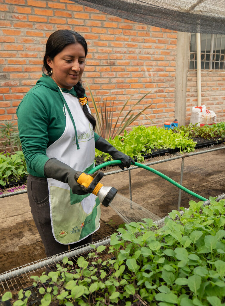 Productora de Pamar Chacrín regando plántulas