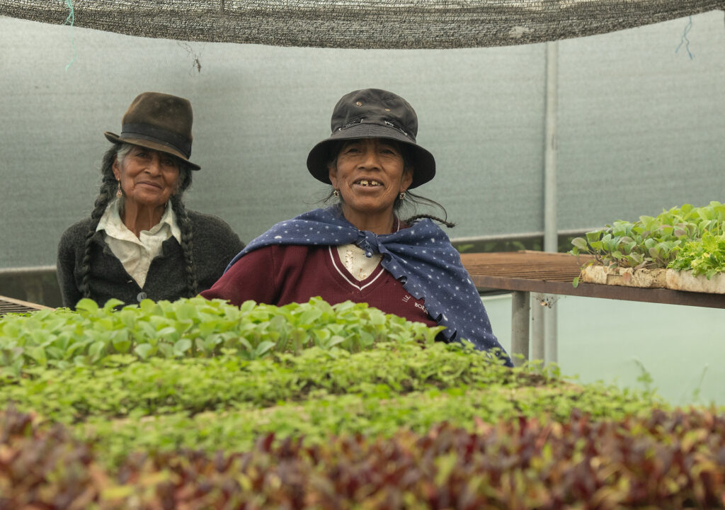 Productoras de Puichig