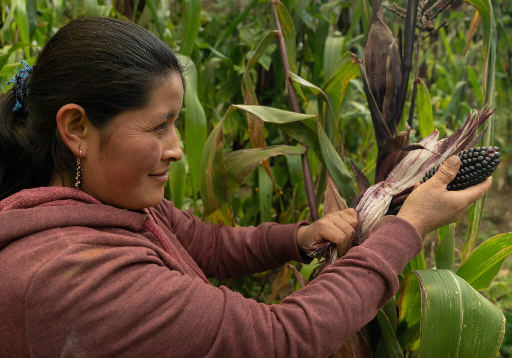 Productores de Quingeo