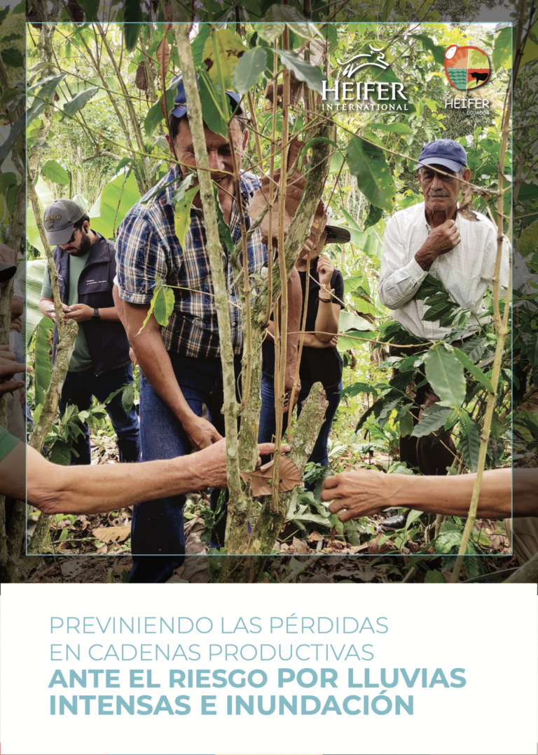 Cacao y café: previniendo las pérdidas ante lluvias intensas e inundación