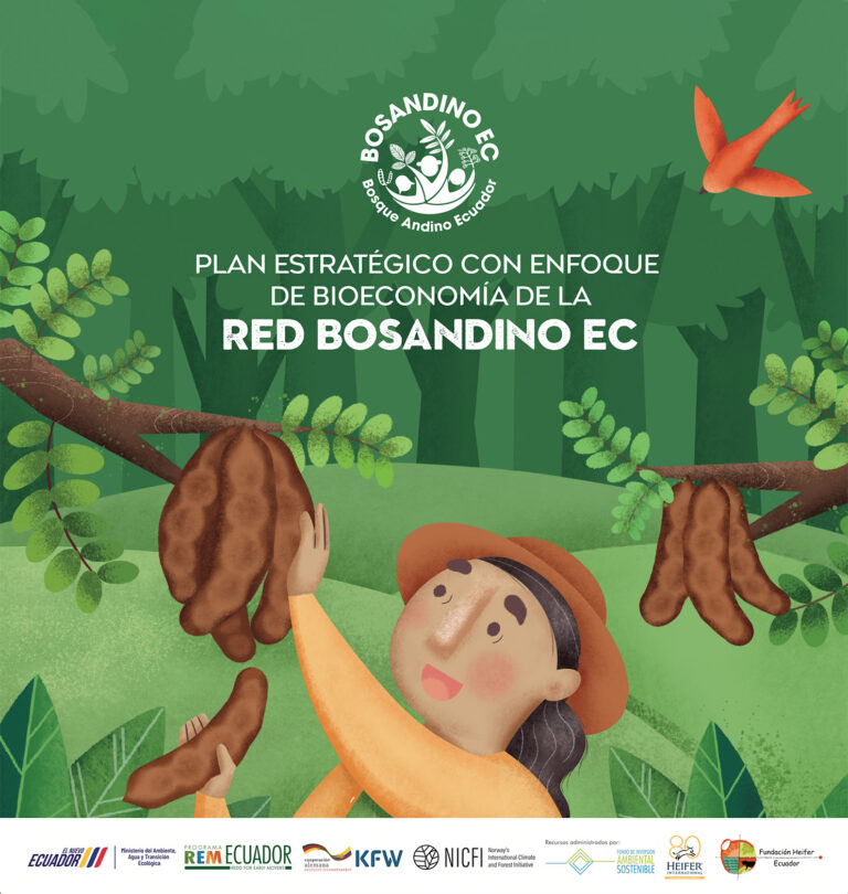 Plan estratégico con enfoque de bioeconomía de la Red BOSANDINO EC