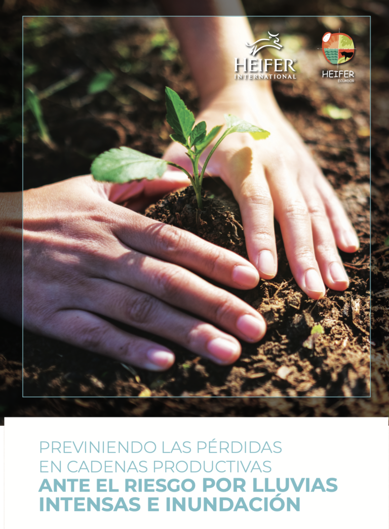 Santa Elena: previniendo las pérdidas ante lluvias intensas e inundación