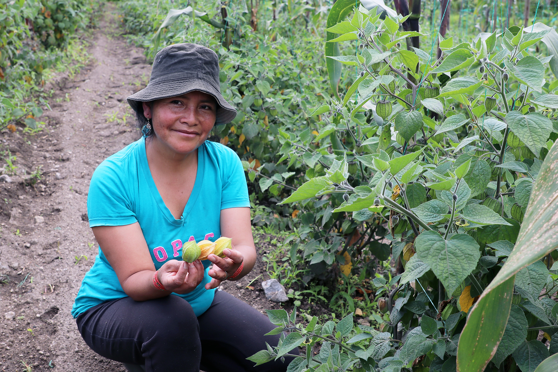 Bionegocios