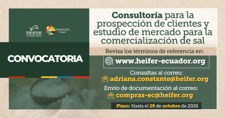 Consultoría para la prospección de clientes y estudio de mercado para la comercialización de sal